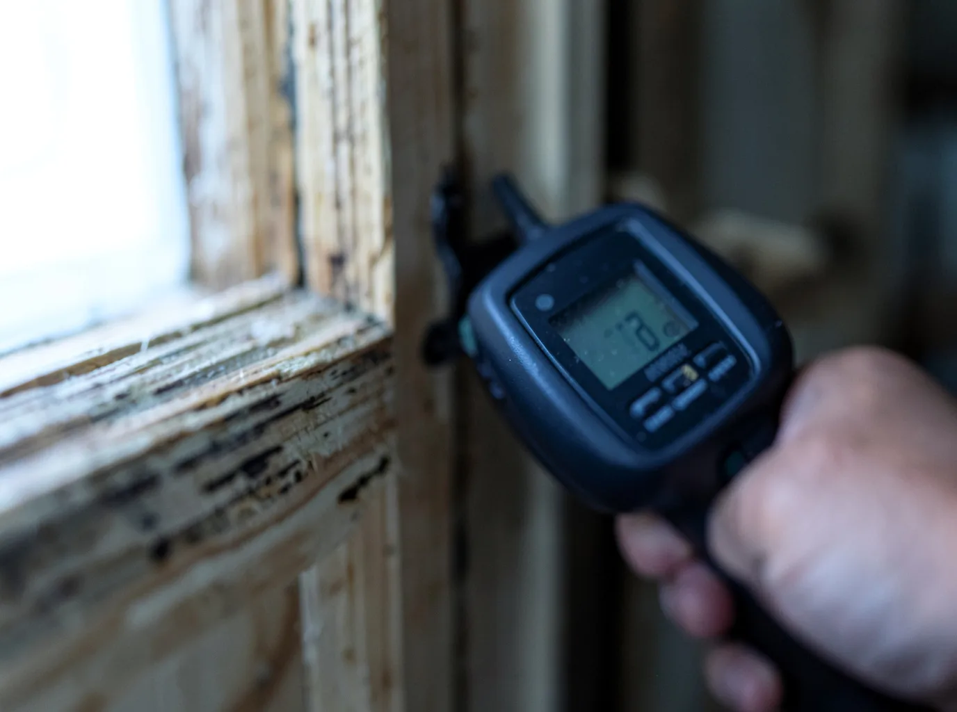 Moisture Inspection And Documentation in Liverpool, TX